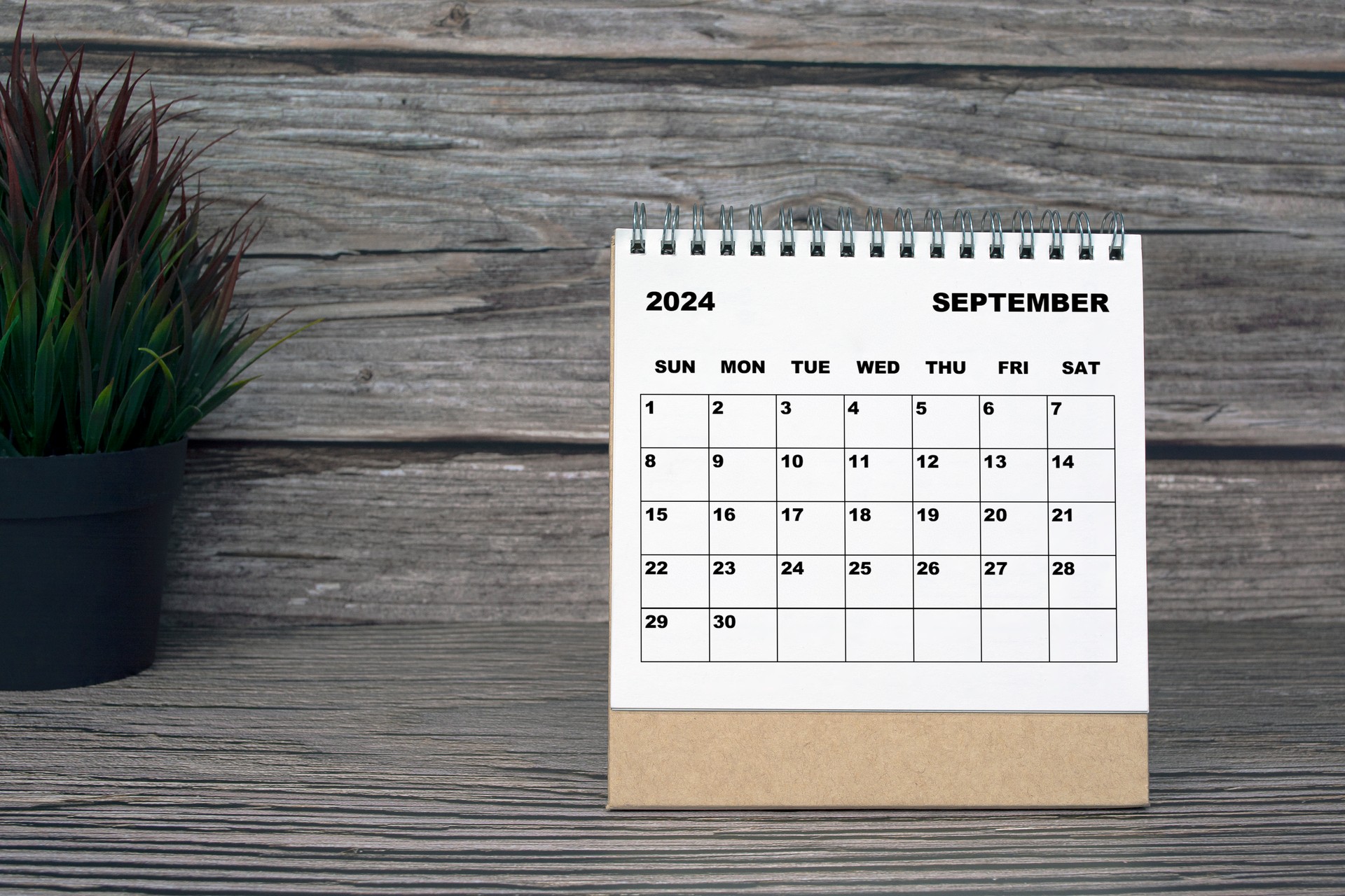 White September 2024 calendar on wooden desk. 2024 New Year Concept